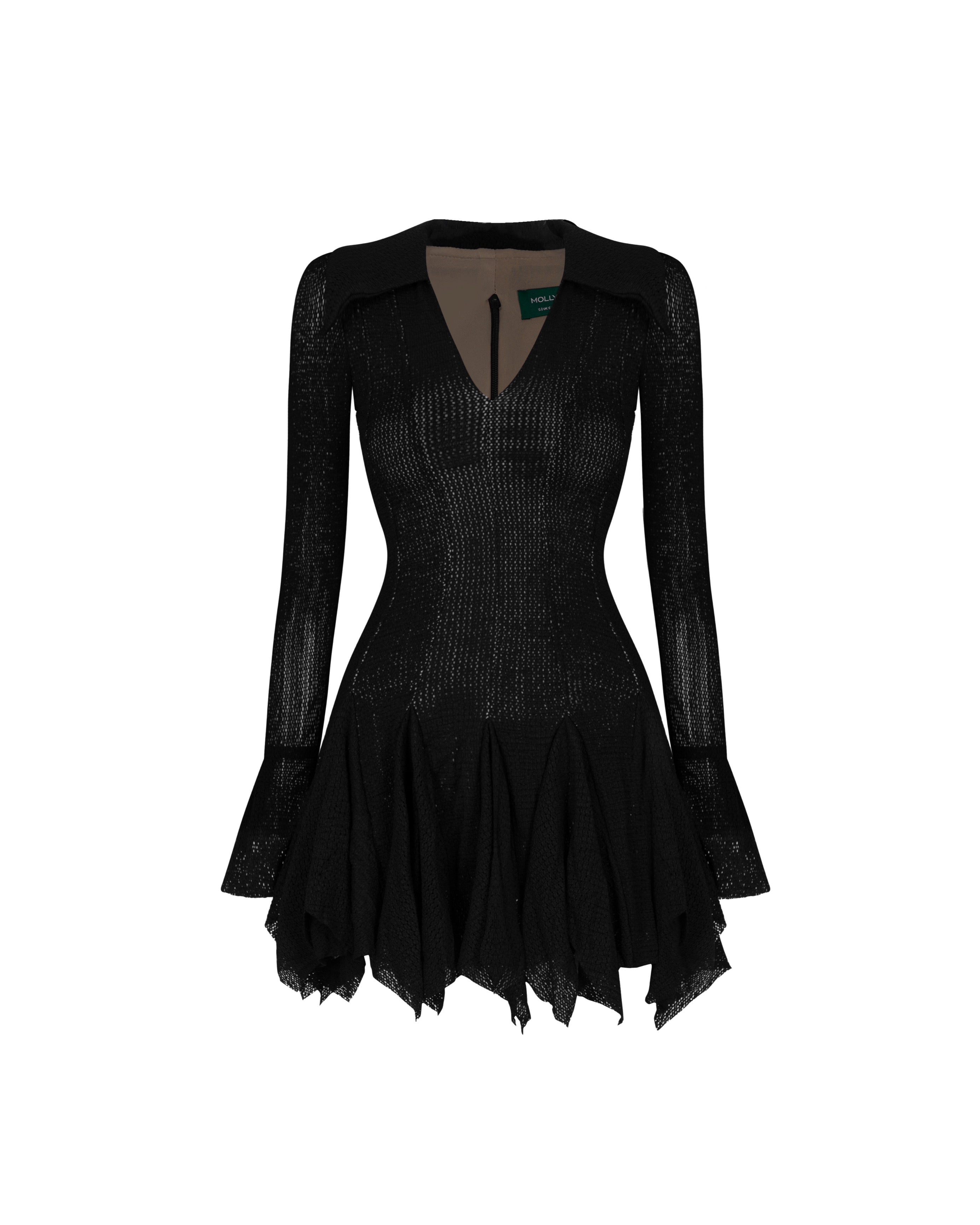 Lace Flared Paneled Dress