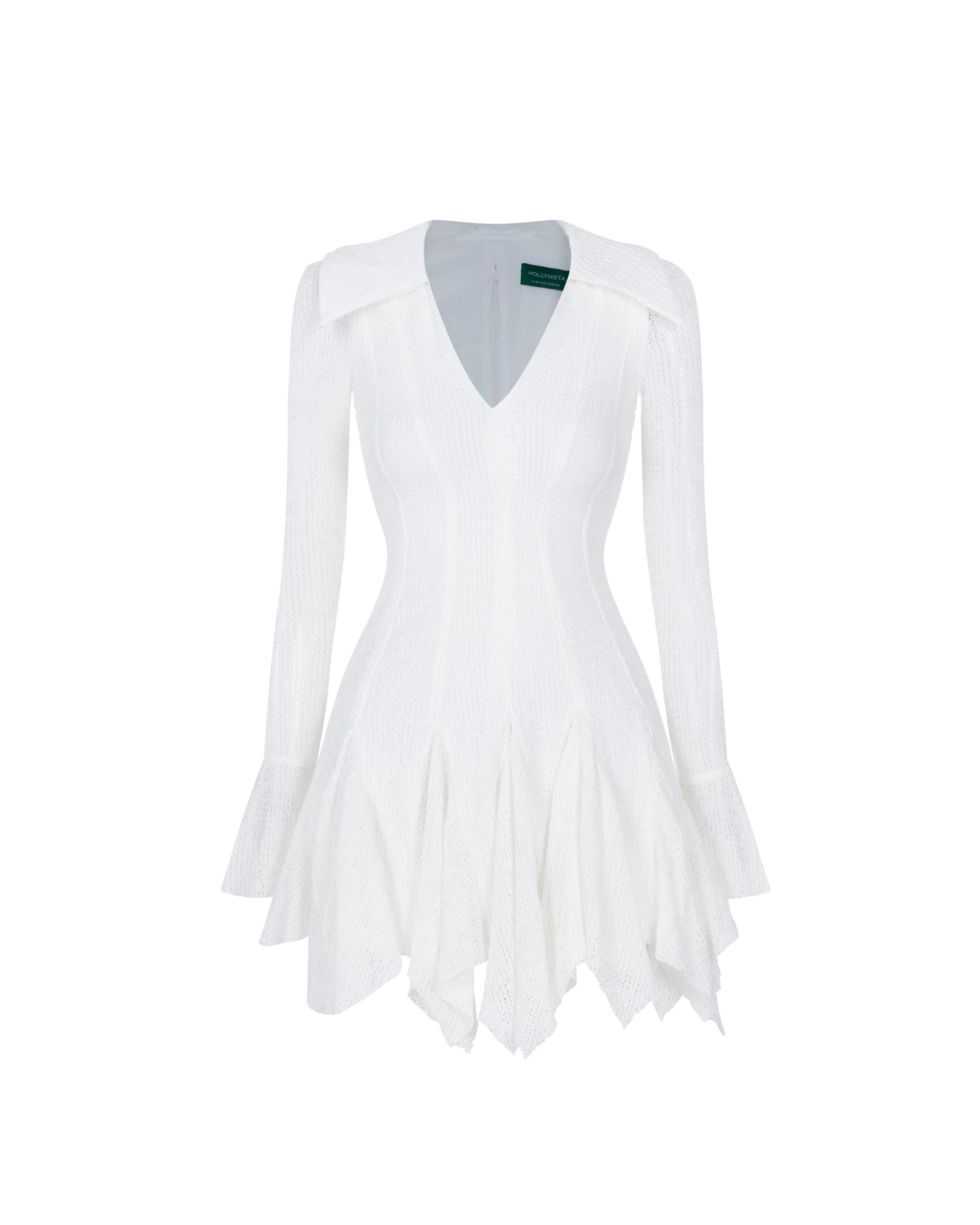 Lace Flared Paneled Dress
