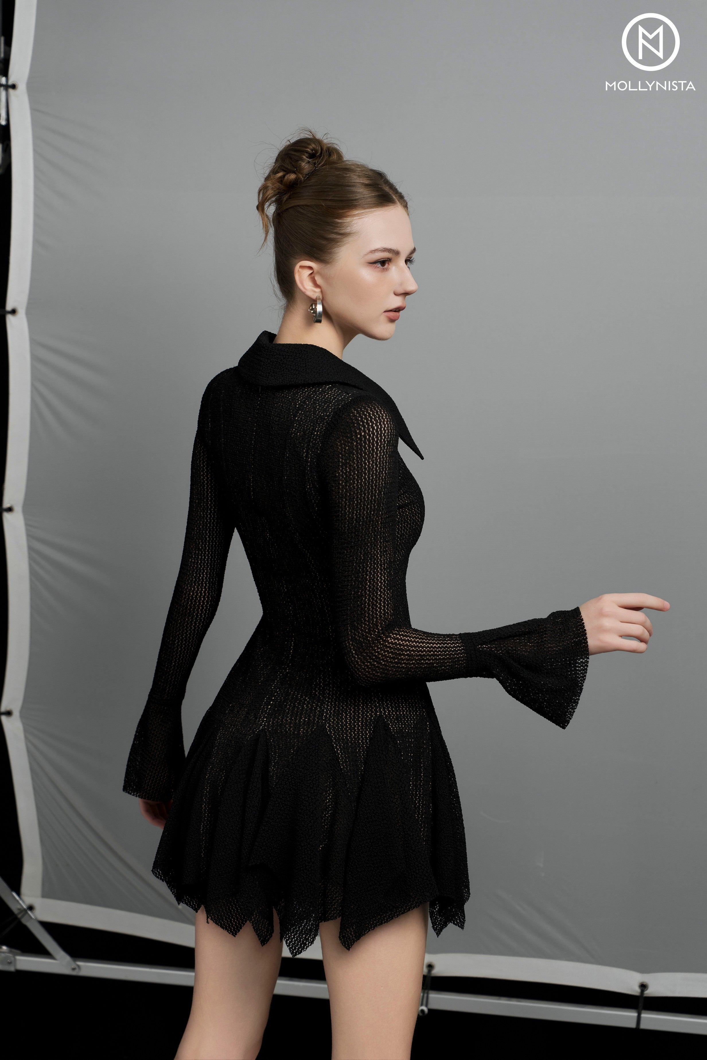Lace Flared Paneled Dress