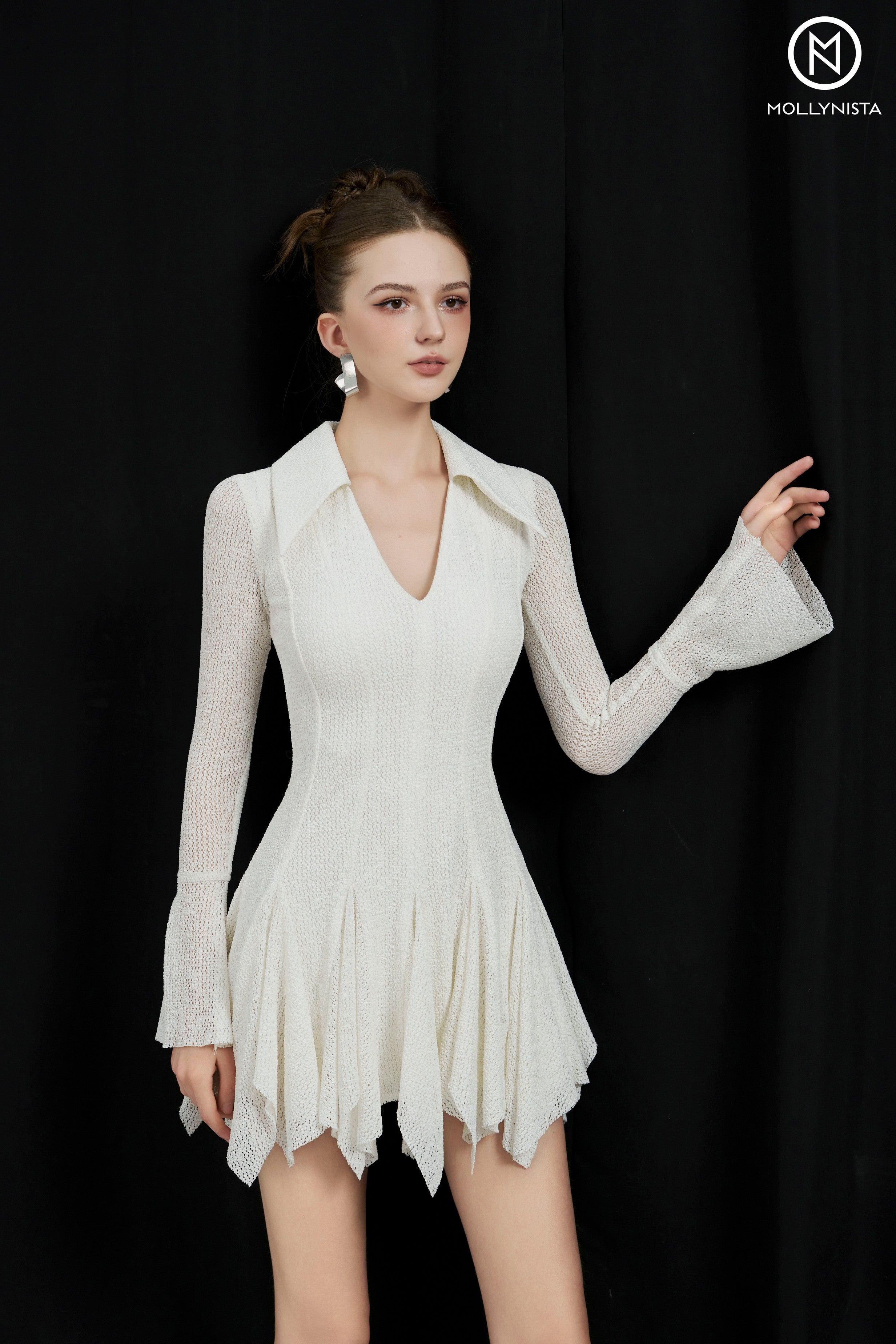 Lace Flared Paneled Dress