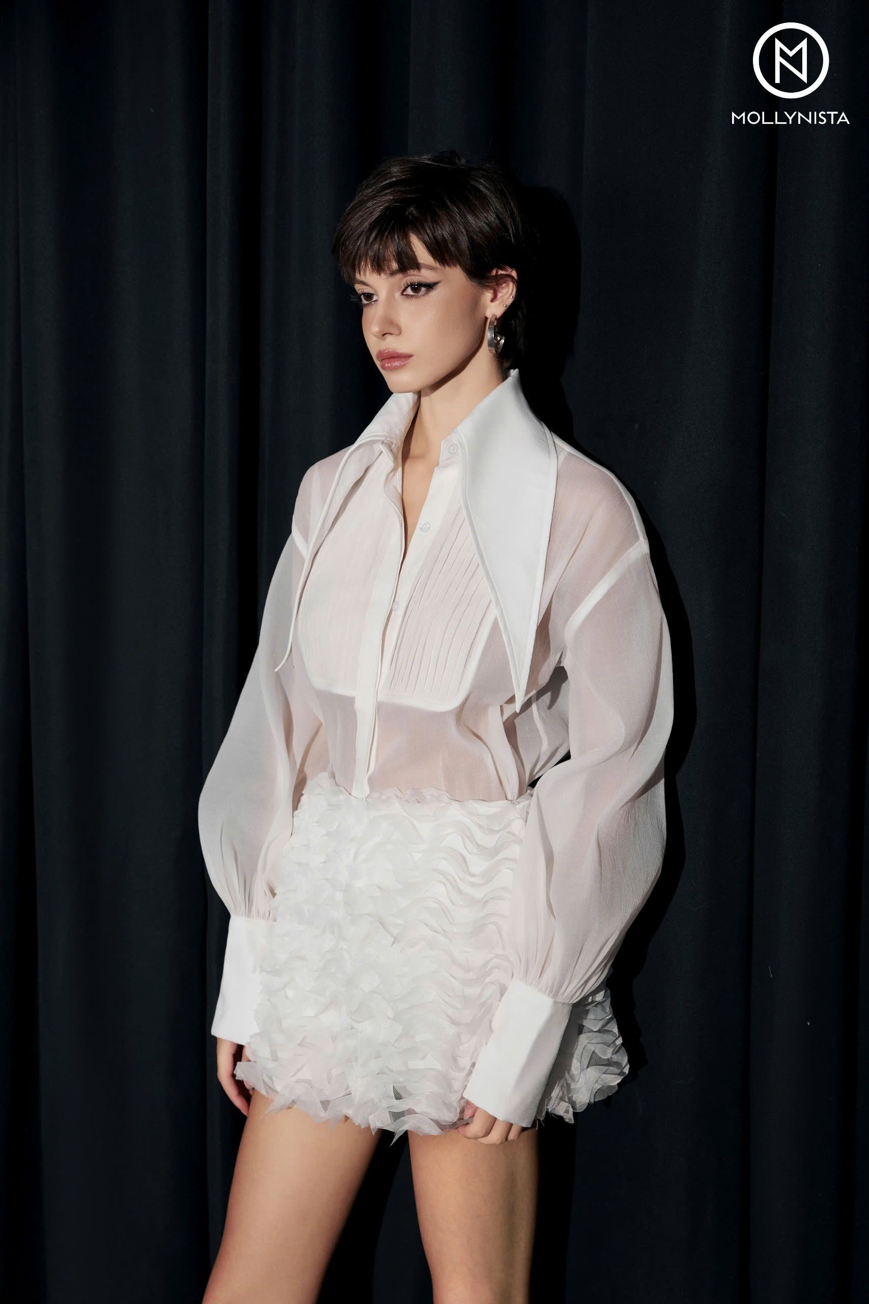 Large Collar Organza Blouse