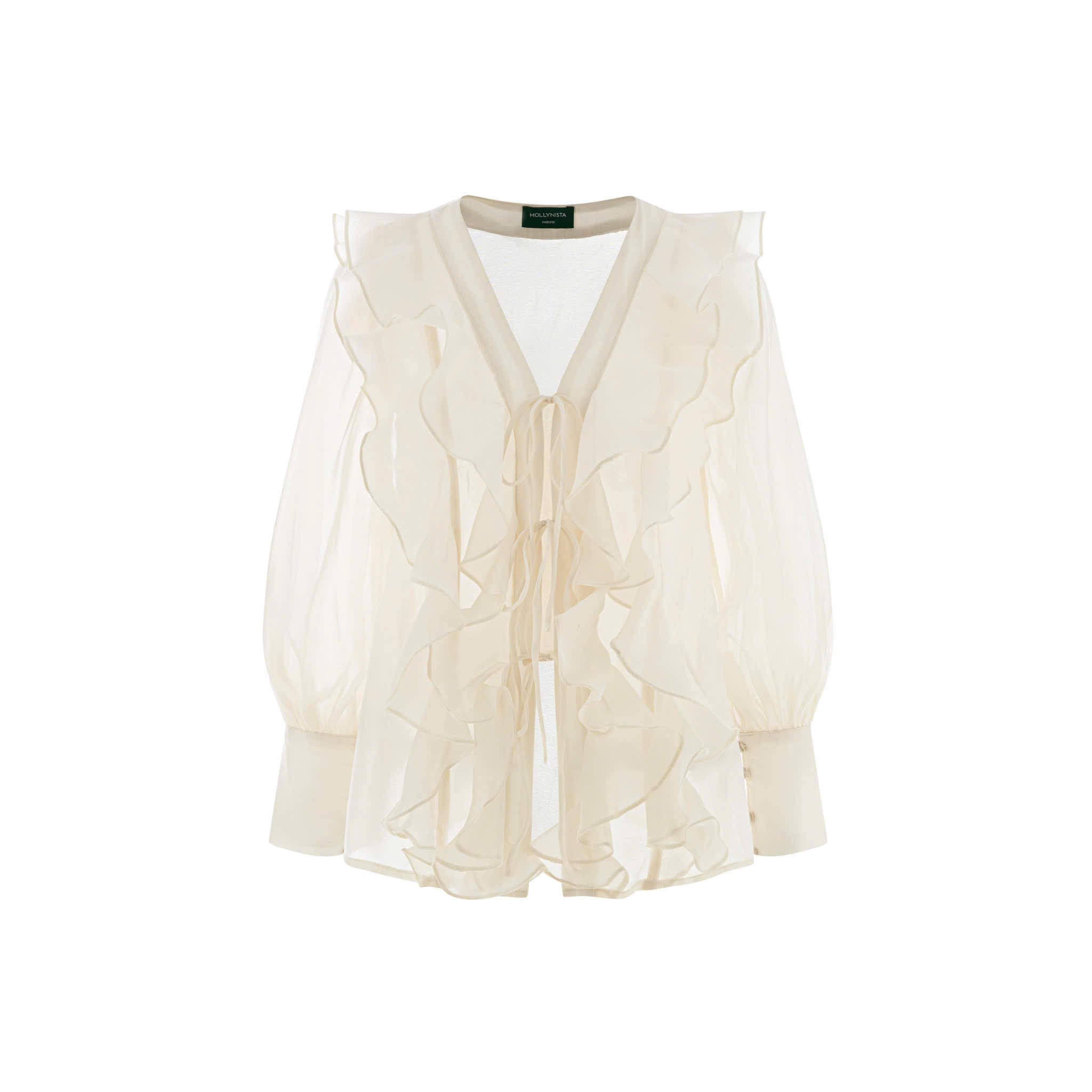 Long-Sleeved Ruffle Organza Blouse